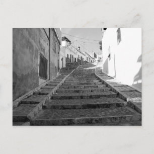 Spanish Steps Postcard