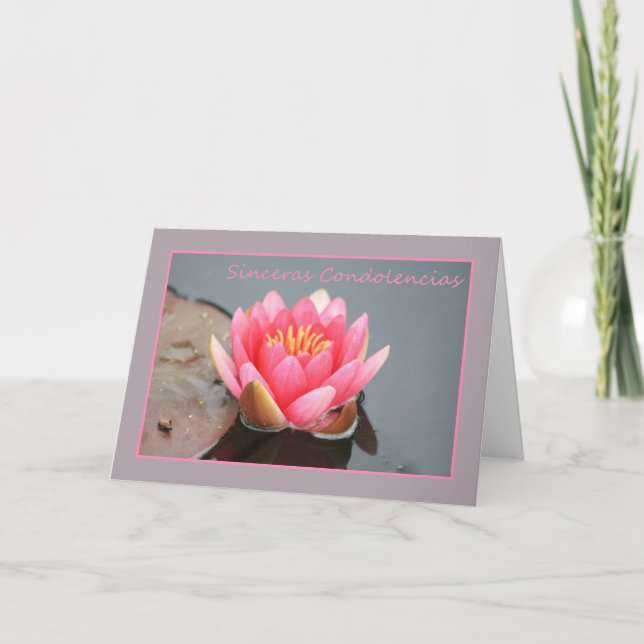 Spanish Sympathy Pink water lily Card (Front)