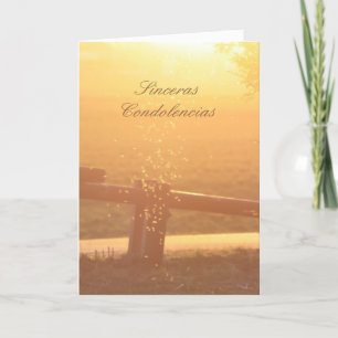 Spanish Sympathy Sunlight Mosquito Card