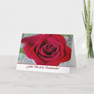 Spanish Valentine’s Day, Red Tiled Rose Holiday Card