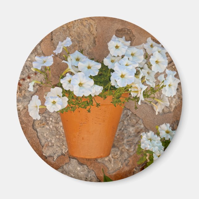 Spanish Wall Magnet (Front)