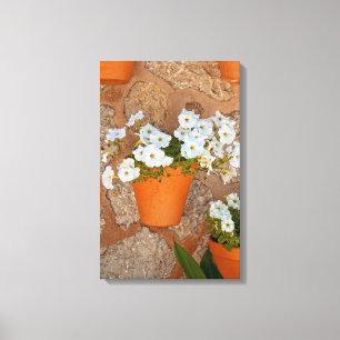 Spanish Wall Wrapped Canvas