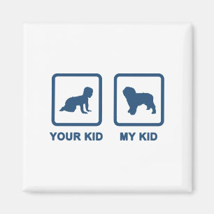 Spanish Water Dog Magnet