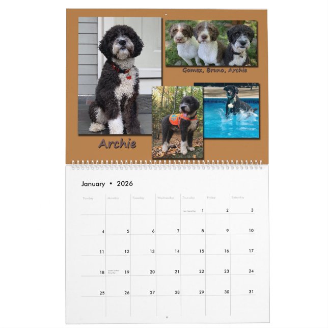 Spanish Water Dogs 2020 Calendar (Jan 2026)