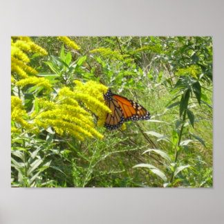 Spare the rod spoil the butterfly poster