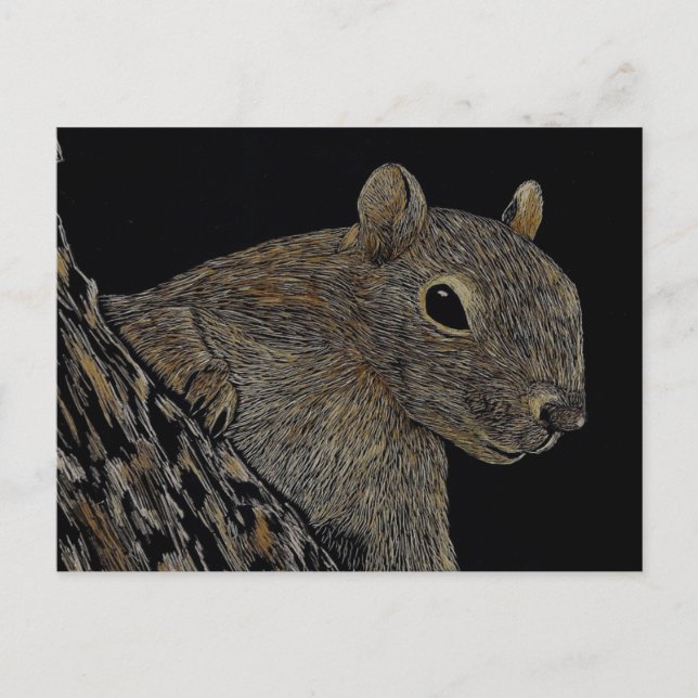 Sparkie the Squirrel Postcard (Front)