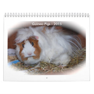 Sparkle Calendar