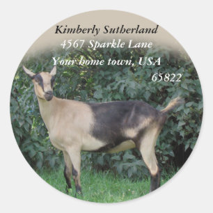 Sparkle Stickers-customize Classic Round Sticker