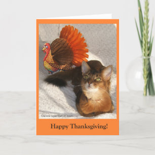Sparkle Thanksgiving Kitty Card