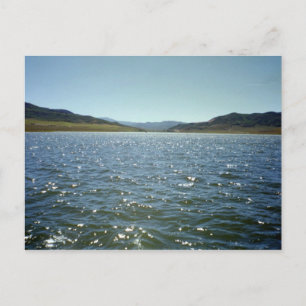Sparkles Postcard