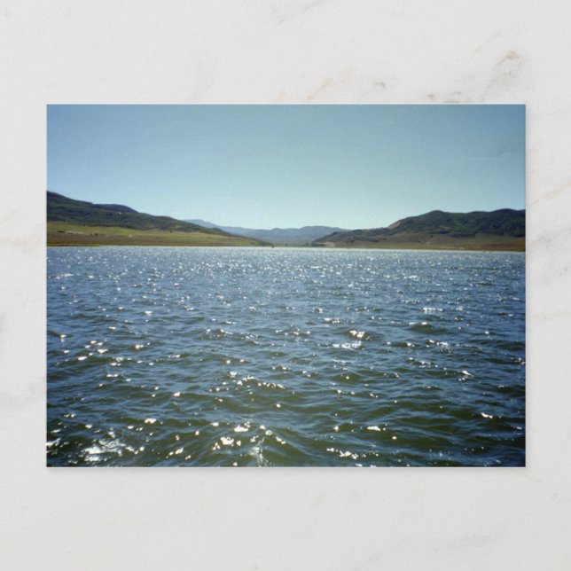 Sparkles Postcard (Front)