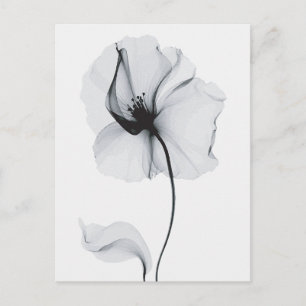 Sparkling Blossom: Nature's Radiant Reflection Postcard