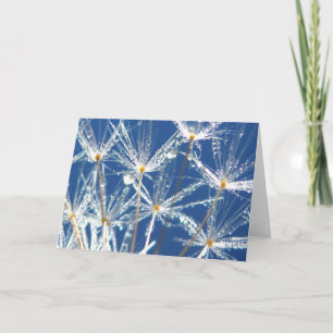 Sparkling Dandelion With Dew Poetry of Nature Card