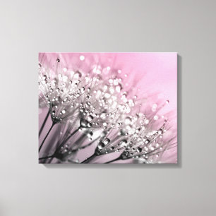 Sparkling Dew Dandelion Cotton Candy Pink Canvas Print