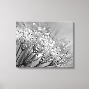 Sparkling Dew Dandelion Silver Grey Background Canvas Print