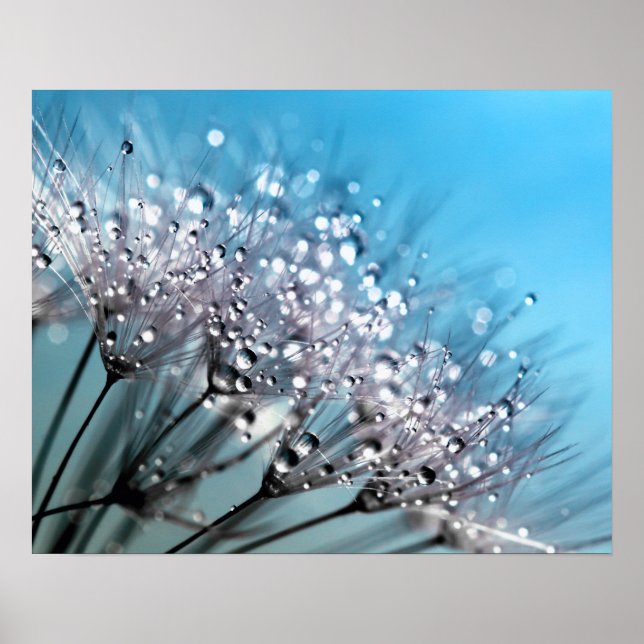 Sparkling Dew Dandelion Sky Blue Background Poster (Front)