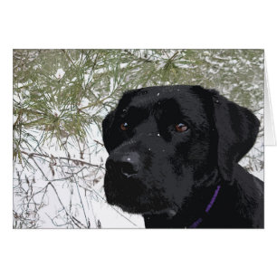 Sparkling Pines - Snow Labrador - Black Lab