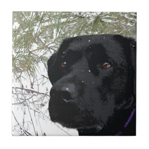 Sparkling Pines - Snow Labrador - Black Lab Tile