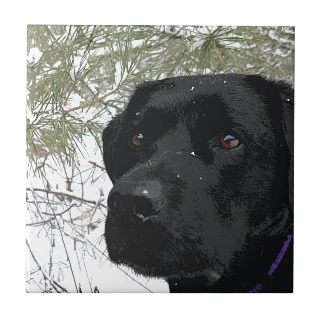 Sparkling Pines - Snow Labrador - Black Lab Tile (Front)