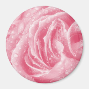 Sparkling Pink Rose Magnet