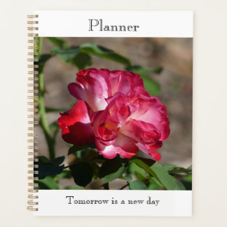 Sparkling Rose Planner