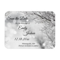 Sparkling Snow & Ice Winter Wedding Save the Date