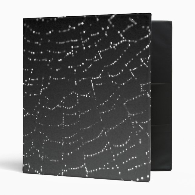 Sparkling Spiderweb Binder (Front/Inside)