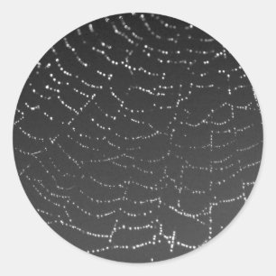 Sparkling Spiderweb Classic Round Sticker