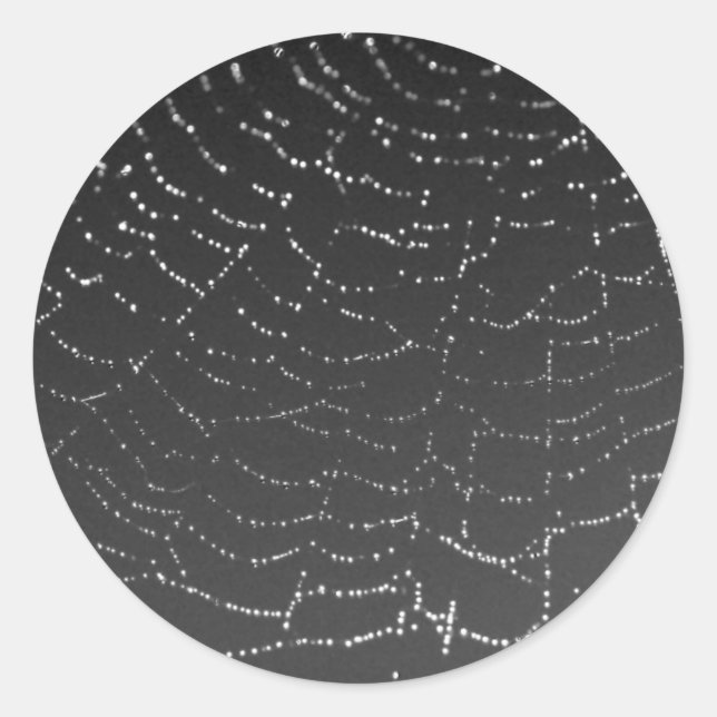 Sparkling Spiderweb Classic Round Sticker (Front)