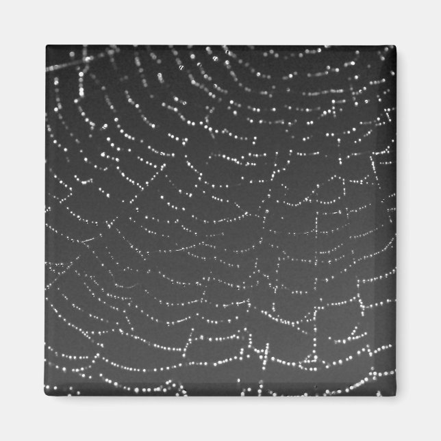 Sparkling Spiderweb Magnet (Front)