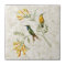Sparkling Tailed Hummingbird Ceramic Tile