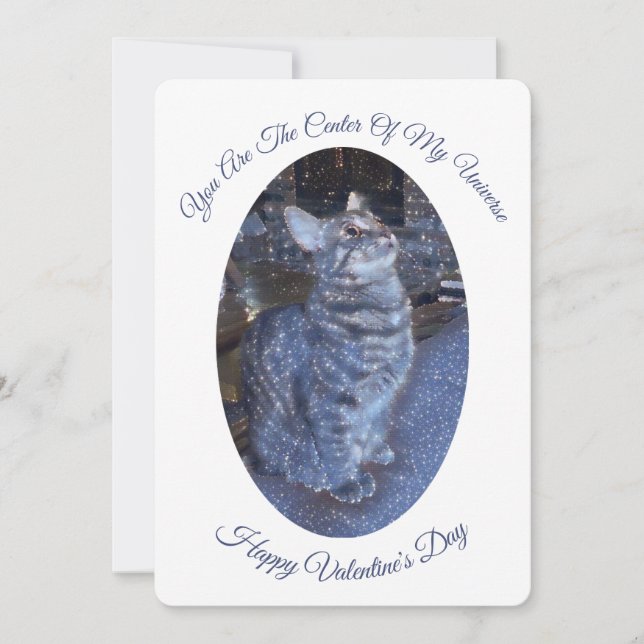 Sparkling Universe Cat Photo Valentines Day Holiday Card (Front)