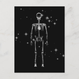 Sparkling X-Ray Skeleton - B&W Postcard