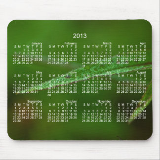 Sparkly Green Leaves; 2013 Calendar Mouse Pad