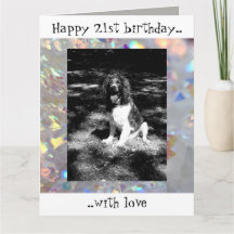 Sparkly springer spaniel 21st birthday card