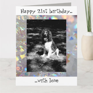 Sparkly springer spaniel 21st birthday card