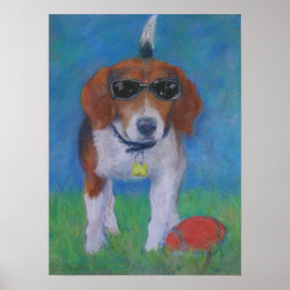 Sparky Dog : Une affiche Cool