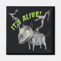 Sparky: It's Alive