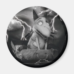 Sparky Magnet