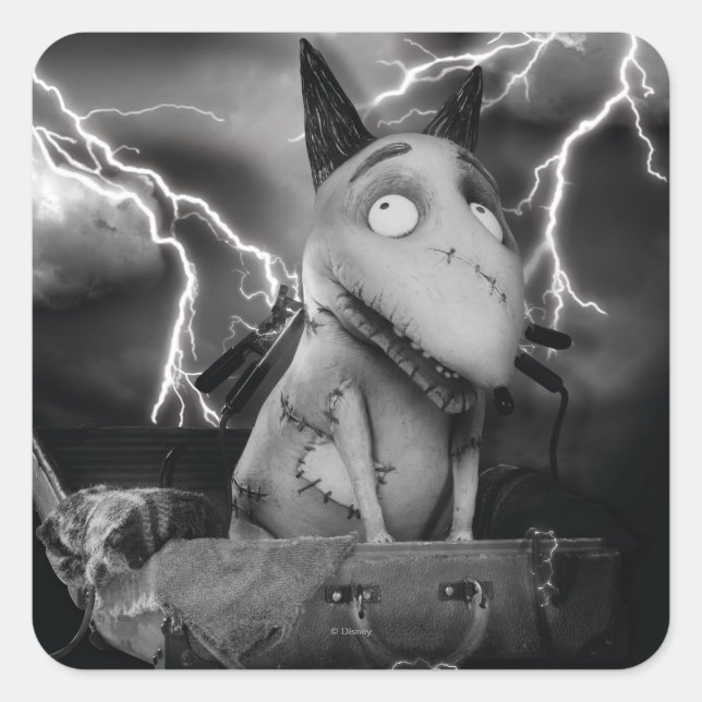 Sparky Square Sticker (Front)