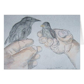 sparow et étourneau