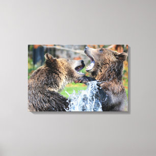 Sparring Grizzly Bears Canvas Print
