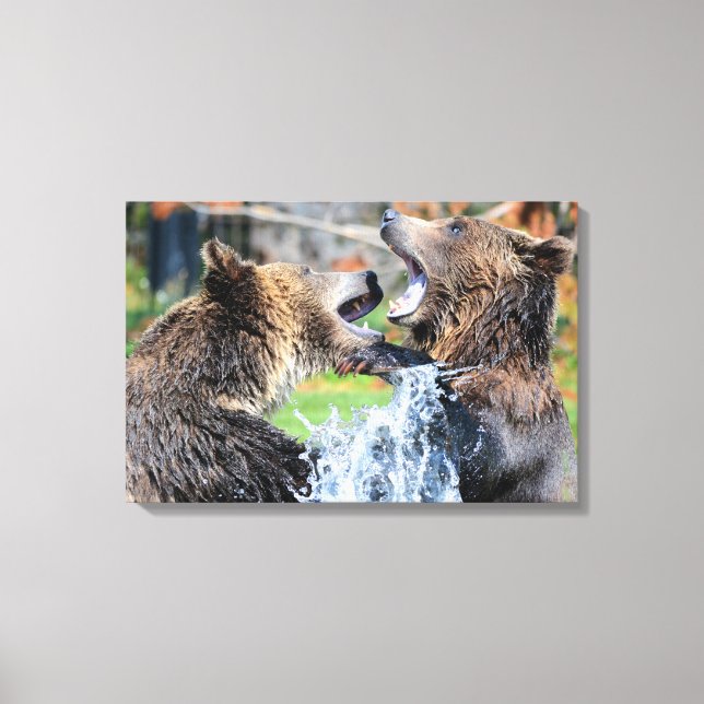 Sparring Grizzly Bears Canvas Print (Front)