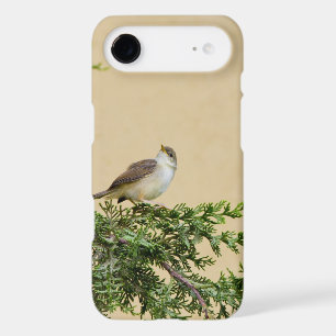 Sparrow