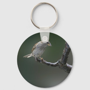 Sparrow  1 keychain