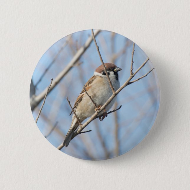 Sparrow 2 Inch Round Button (Front)