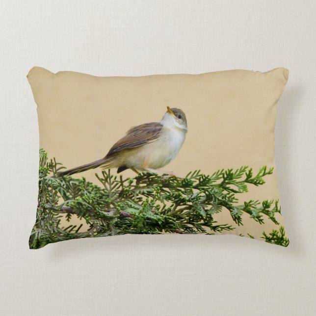Sparrow  accent pillow (Front)