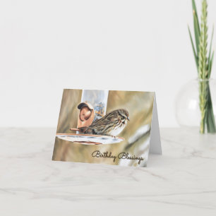 Sparrow and. Feeder - Birthday Card