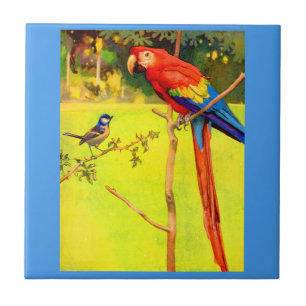 sparrow and parrot tile