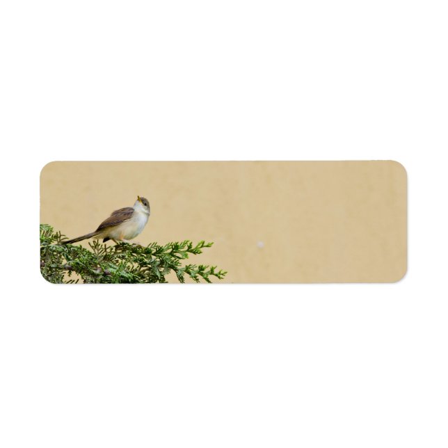 Sparrow Bird Artwork (Front)